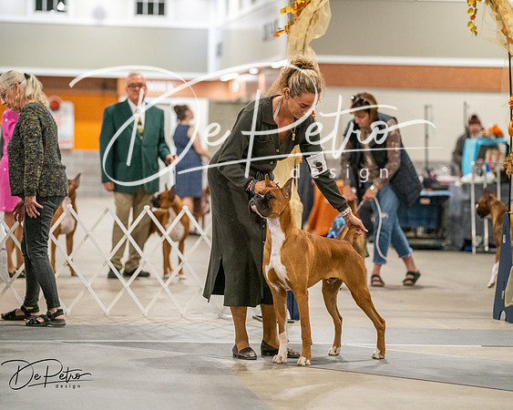 20261022-DSC02788