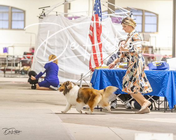 20230401-DSC07972