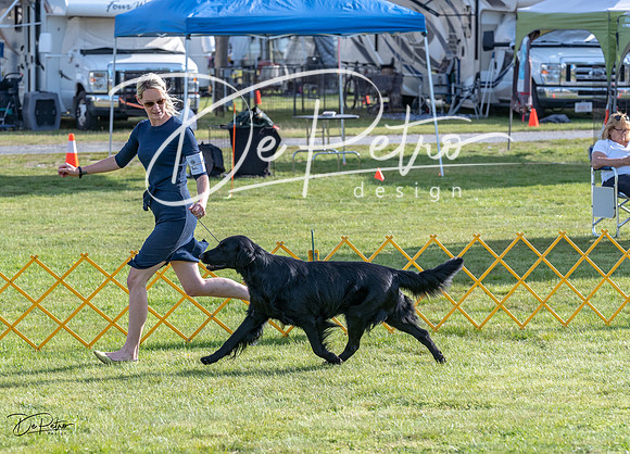 20230513-DSC02146