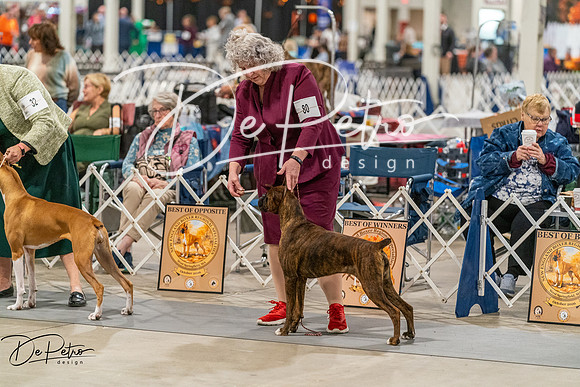 20261023-DSC05062