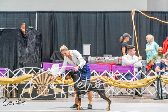 20260930-DSC06746