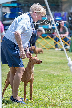 20230512-DSC03919
