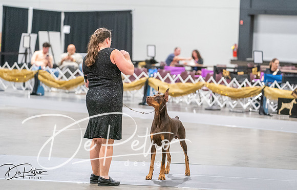 20260926-DSC04126