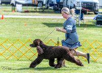 20230512-DSC05613