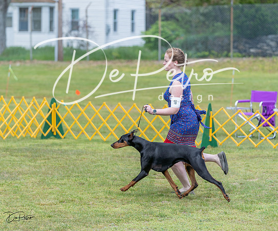20230513-DSC08610
