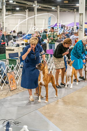 20261022-DSC00357