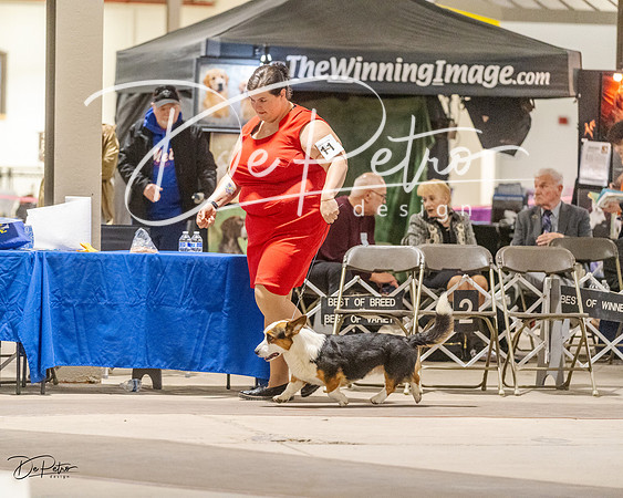 20230401-DSC08106