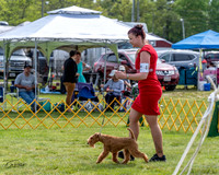 20230513-DSC00038