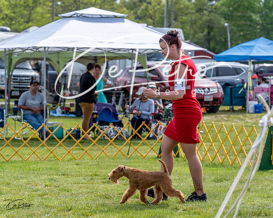 20230513-DSC00038