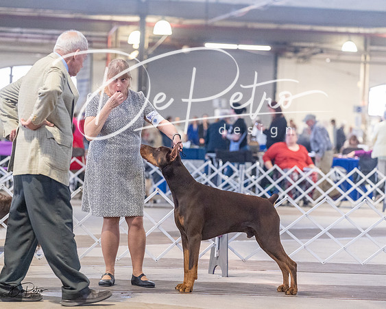 20230401-DSC06712
