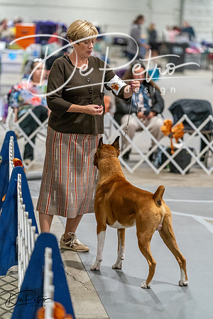20261023-DSC05695