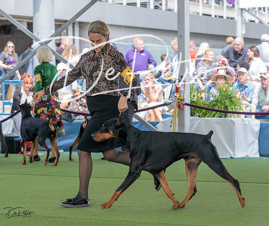 20230509-DSC01168