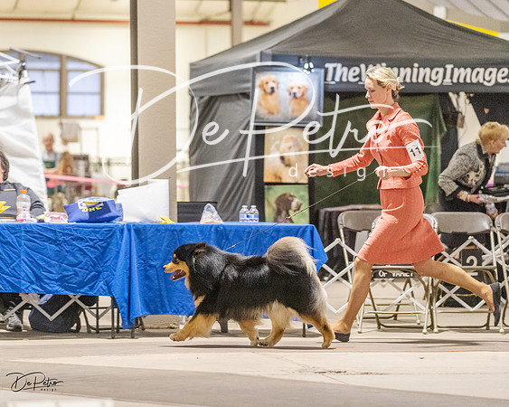 20230401-DSC07927
