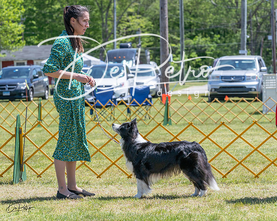 20230514-DSC04765