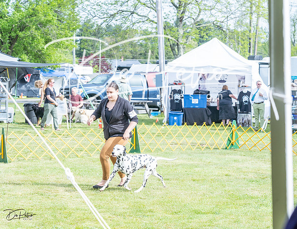 20230513-DSC00460