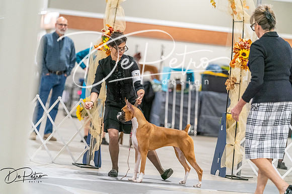 20261022-DSC00308