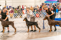 20261024-DSC00575