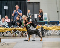 20260926-DSC03840