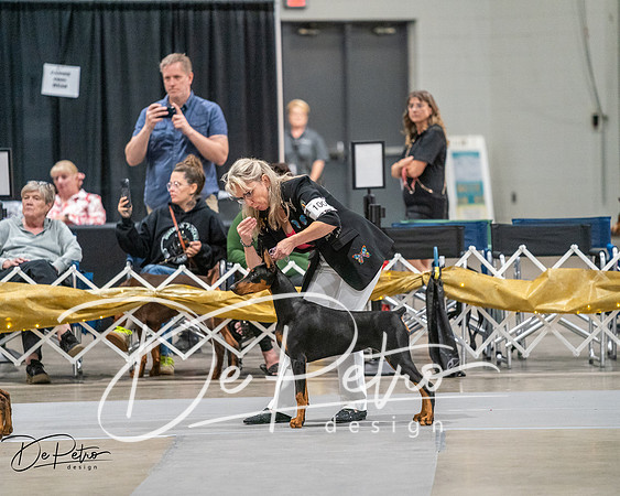 20260926-DSC03840