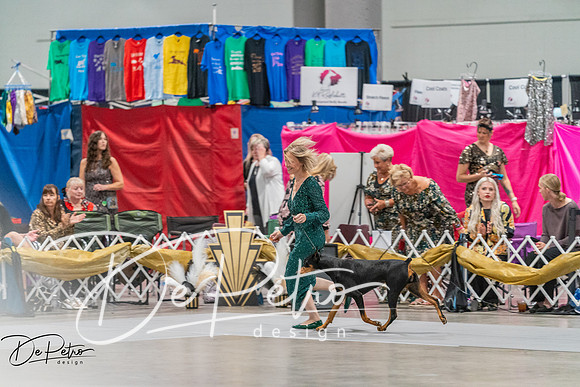 20260928-DSC05822