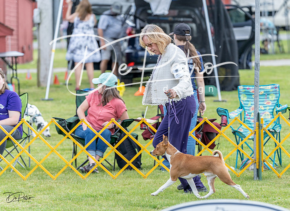 20230512-DSC03730