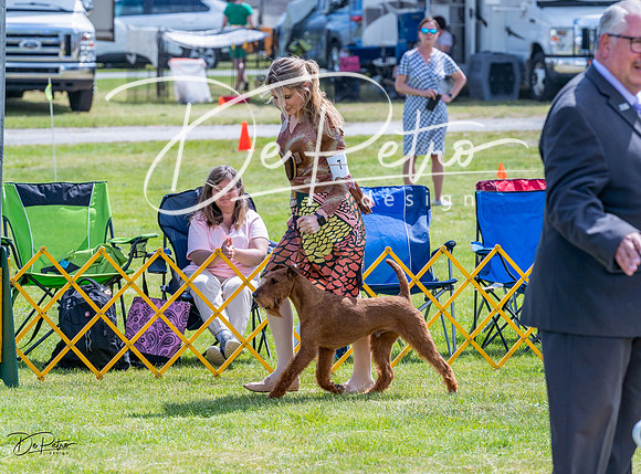 20230512-DSC04055