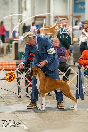 20261023-DSC05529
