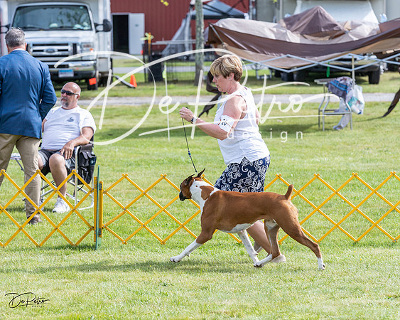 20230513-DSC00562