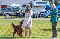 20230512-DSC07075
