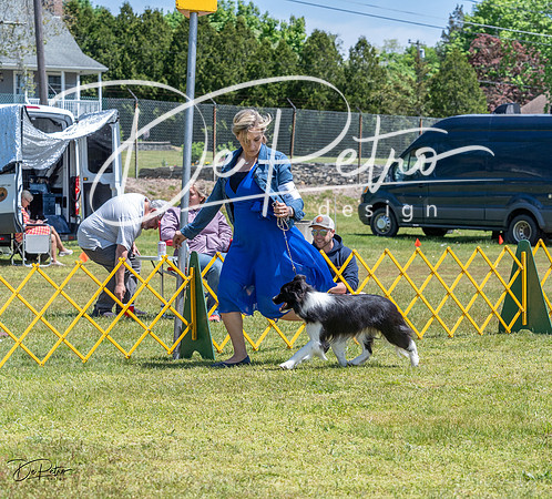 20230514-DSC04737