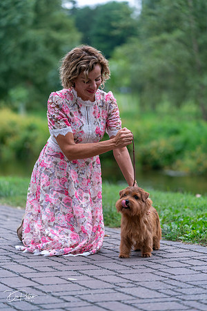20260912-DSC03304