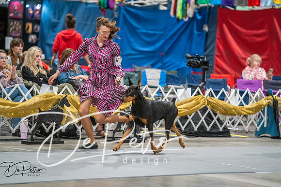 20260926-DSC04849