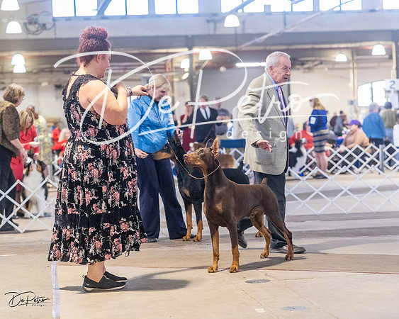 20230401-DSC06484