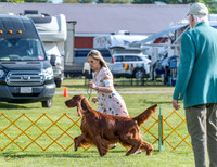 20230512-DSC07079