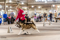 20230331-DSC05365
