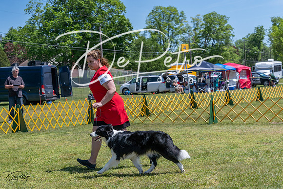 20230514-DSC05002