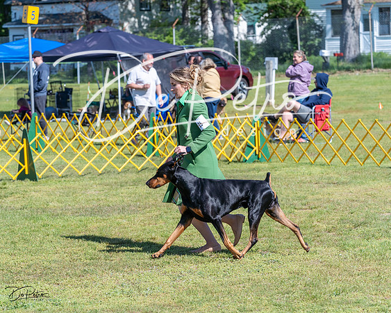 20230514-DSC03257