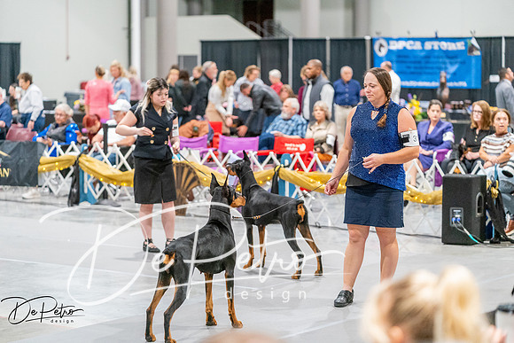 20261002-DSC07436