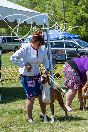 20230514-DSC04228