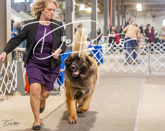 20230402-DSC09350