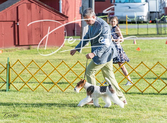 20230513-DSC02293