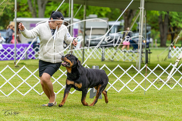 20230427-DSC02439
