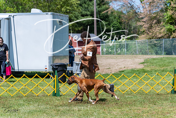 20230514-DSC04134