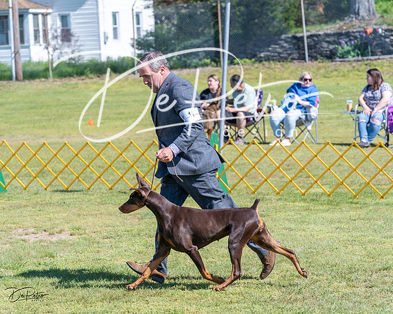 20230514-DSC03339