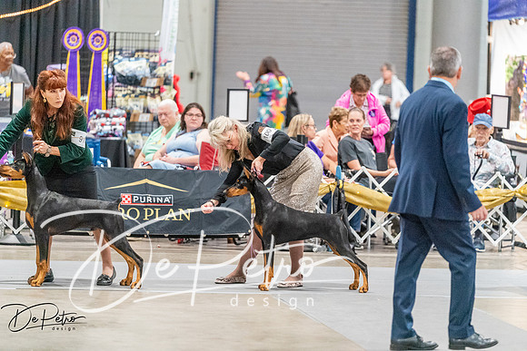 20261001-DSC07204