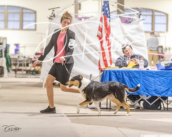 20230401-DSC07860