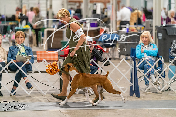 20261023-DSC04991