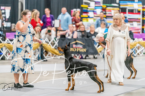 20261001-DSC07393