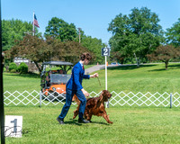 20250629-DSC00092