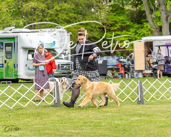 20230427-DSC03585